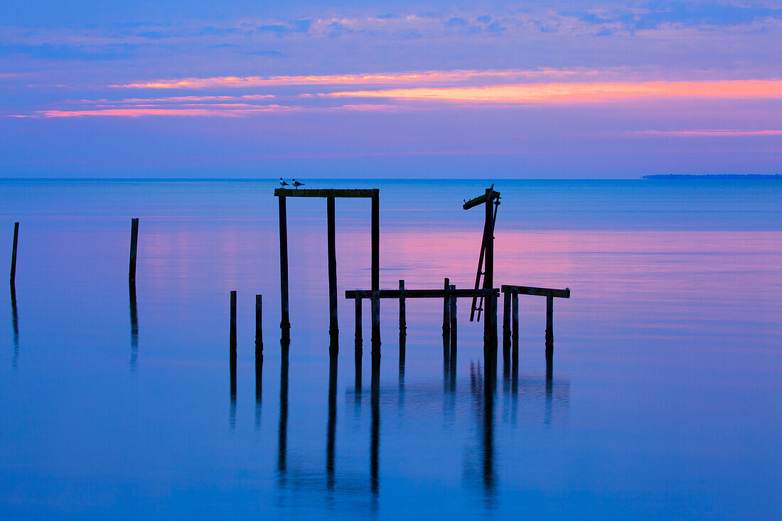 USA, Florida. Apalachicola, Überreste eines alten Docks bei Sonnenaufgang.