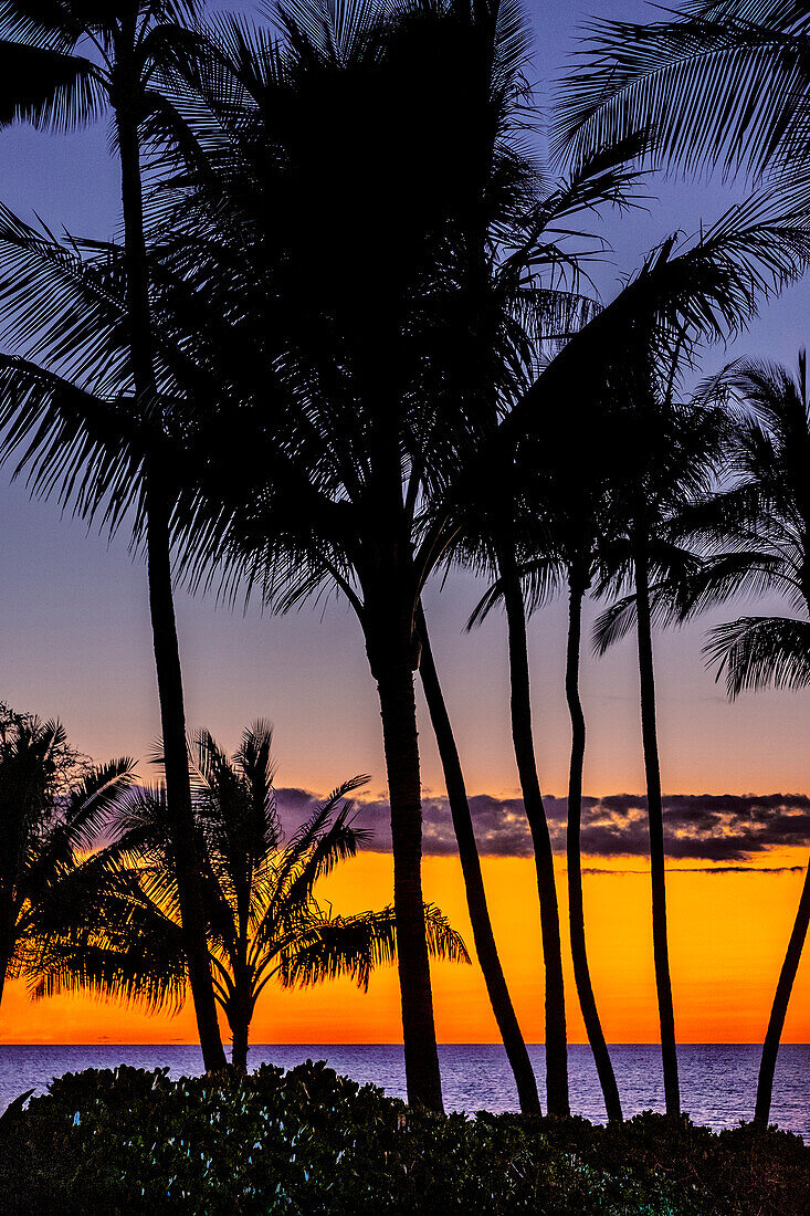 Tropical Sunset