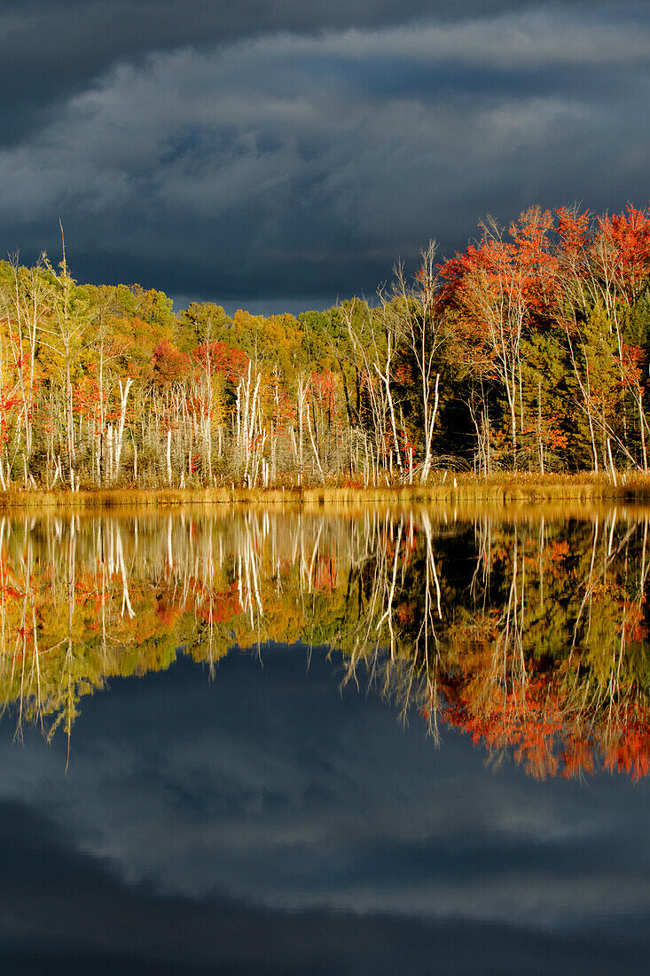 Shoreline of Red Jack Lake at sunrise, Hiawatha National Forest, Upper Peninsula of Michigan.