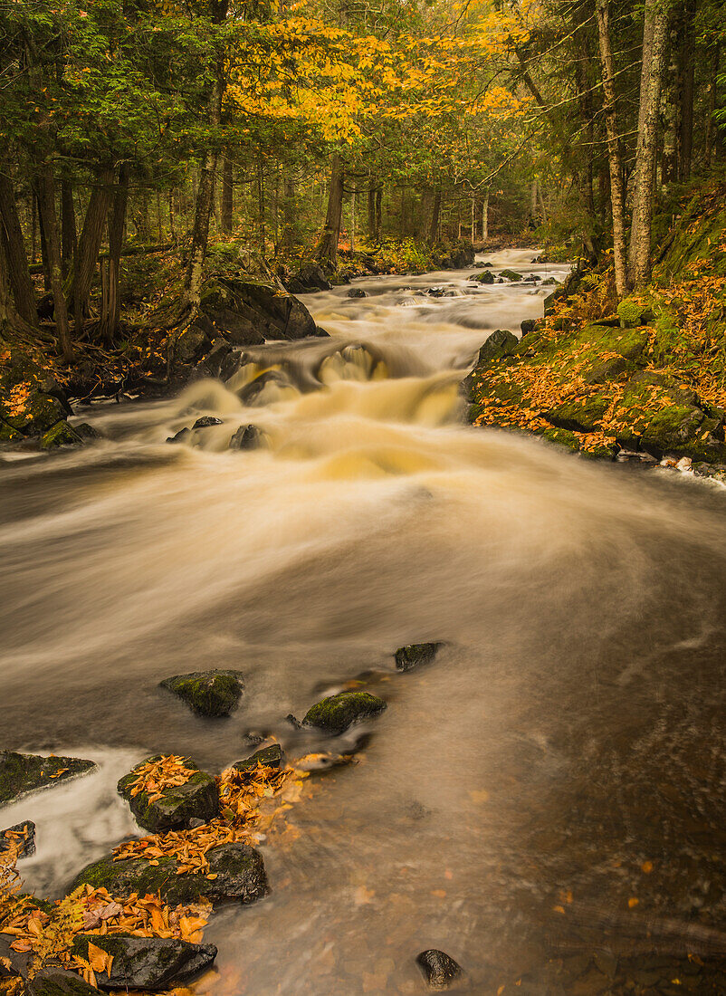 USA, Michigan, Fall Colors, Stream