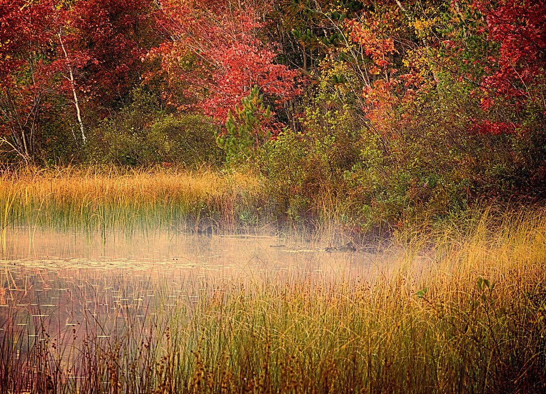 US, Michigan, Upper Peninsula. Thornton Lake.