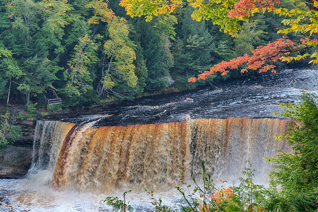 Michigan, Tahquamenon Falls State Park, Upper Falls