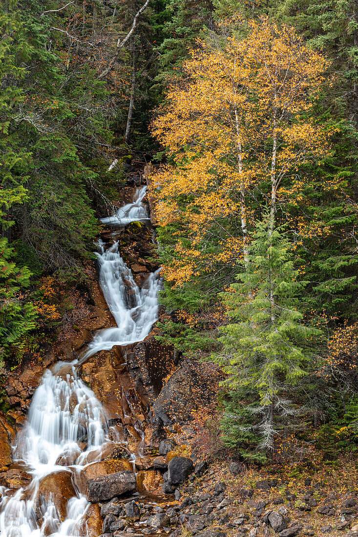 Fawn Creek Falls im Herbst im Flathead National Forest, Montana, USA