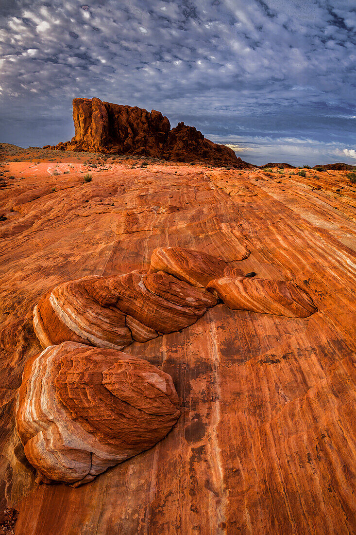 USA, Nevada, Overton, Valley of Fire State Park. Multi-colored rock formation