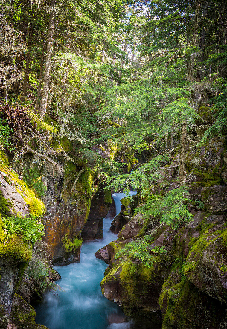 Avalanche Creek, Landschaft, Gerinne, Bach