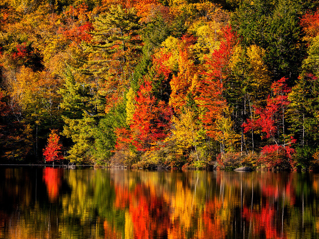 USA, New Hampshire, White Mountains, Fall reflection on Russell Pond