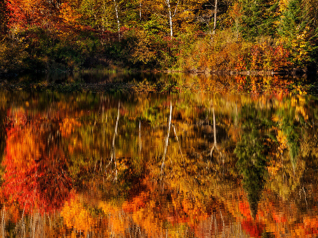 USA, New Hampshire, White Mountains, Herbst Reflexion über Coffin Pond