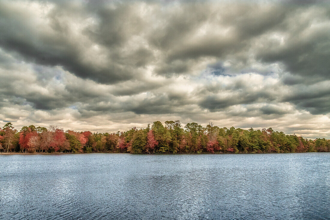 USA, New Jersey, Belleplain State Forest. Gewitterwolken über See und Wald