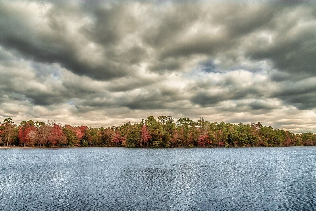 USA, New Jersey, Belleplain State Forest. Storm clouds over lake and forest
