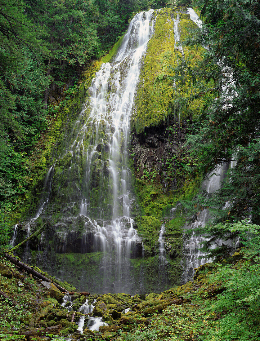 USA, Oregon, Kaskadenkette. Proxy Falls landschaftlich reizvoll