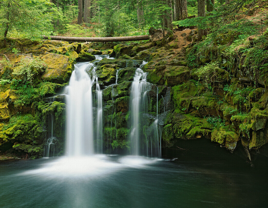 USA, Oregon, Umpqua-Fluss. Wasserfall