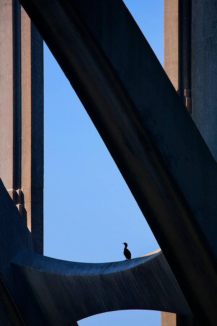 USA, Oregon, Newport. Kormoran ruht auf Stützbalken der Yaquina Bay Bridge