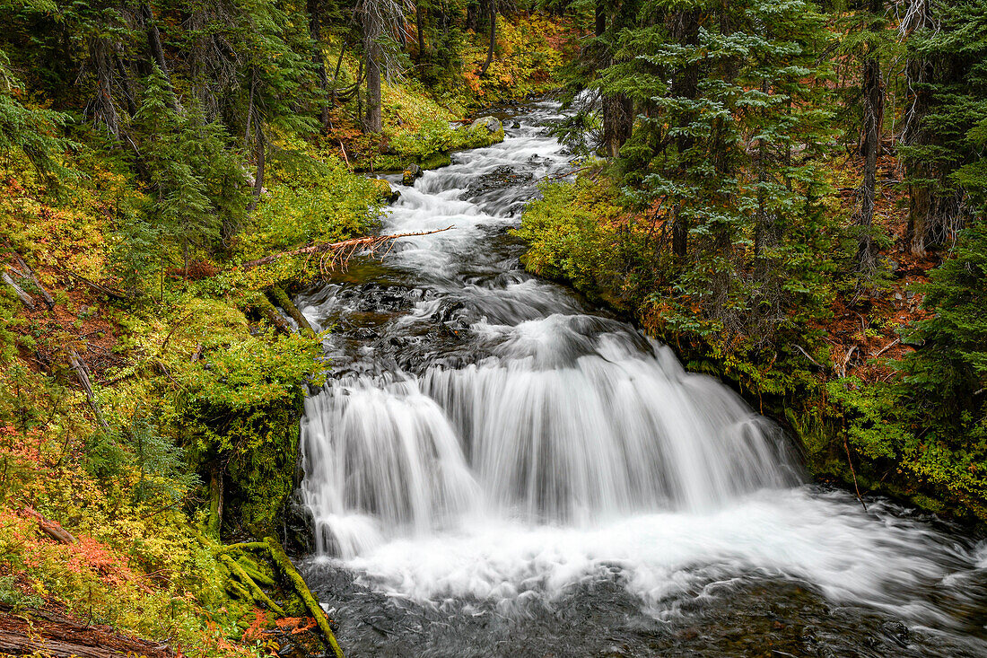 Fall Creek Falls, Deschutes National Forest, Oregon.