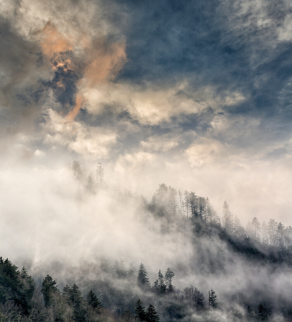 Misty Cloud filled valley from Morton Overlook, Great Smoky Mountains, National Park, Tennessee