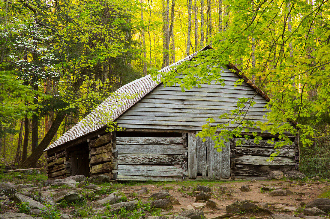 USA, Tennessee. Old barn at Bud Ogle cabin along Roaring Fork Nature Trail.