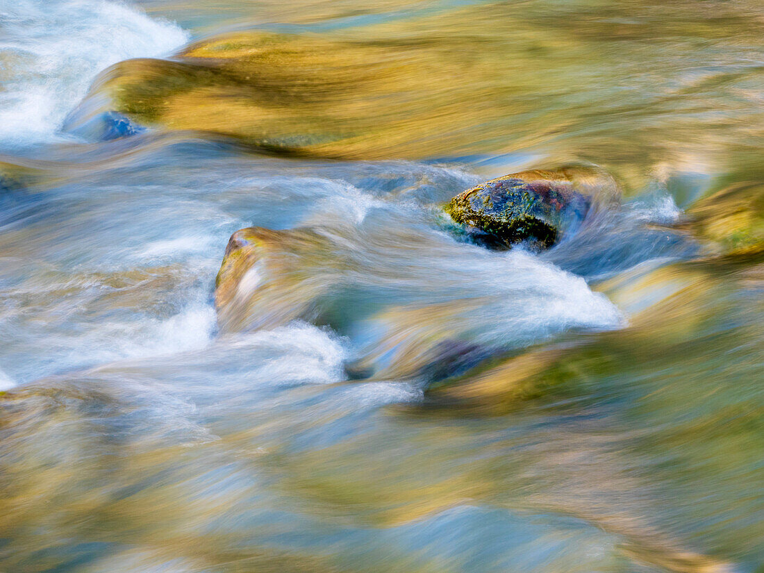 USA, Utah. Zion National Park, Virgin River close-up