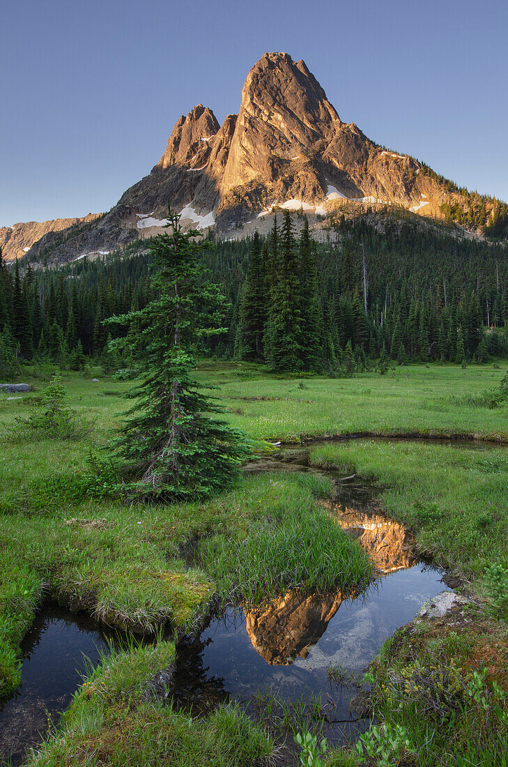 Liberty Bell Mountain spiegelt sich im stillen Wasser des State Creek, in den Wiesen des Washington Pass. North Cascades, Bundesstaat Washington