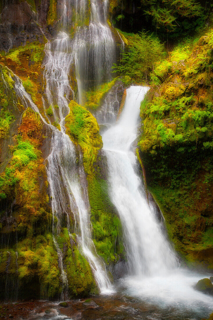 USA, Washington State, Gifford Pinchot National Forest. Panther Creek Falls along Panther Creek.