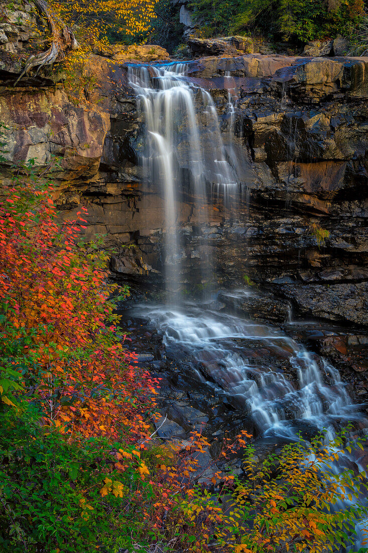USA, West Virginia, Blackwater Falls State Park. Waterfall scenic