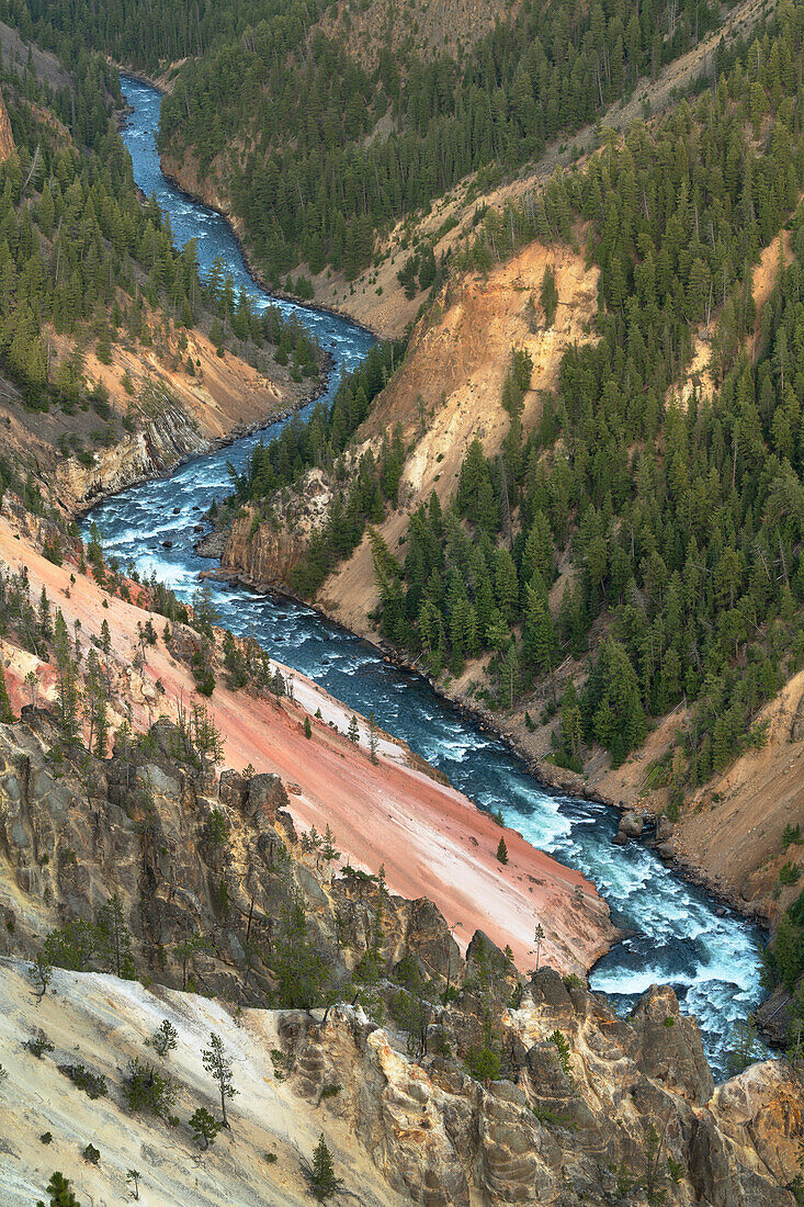 Yellowstone River, der durch bunte Rhyolithfelsen schneidet, Grand Canyon des Yellowstone, Yellowstone National Park.