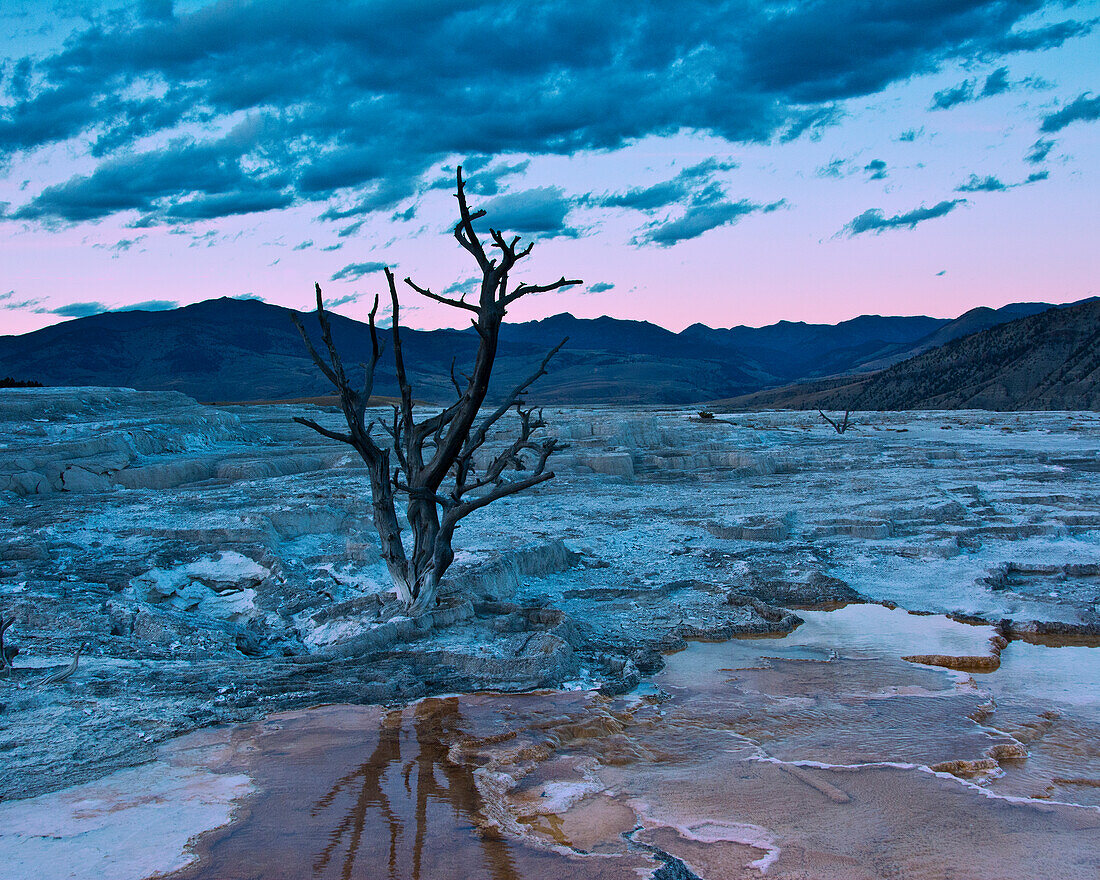 Terrassen, Mammoth Hot Springs, Yellowstone-Nationalpark, Wyoming, USA