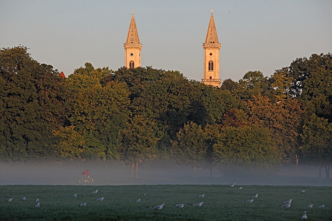 Morning fog in the English Garden with the spiers of the Ludwigskirche, Munich, Upper Bavaria, Bavaria, Germany