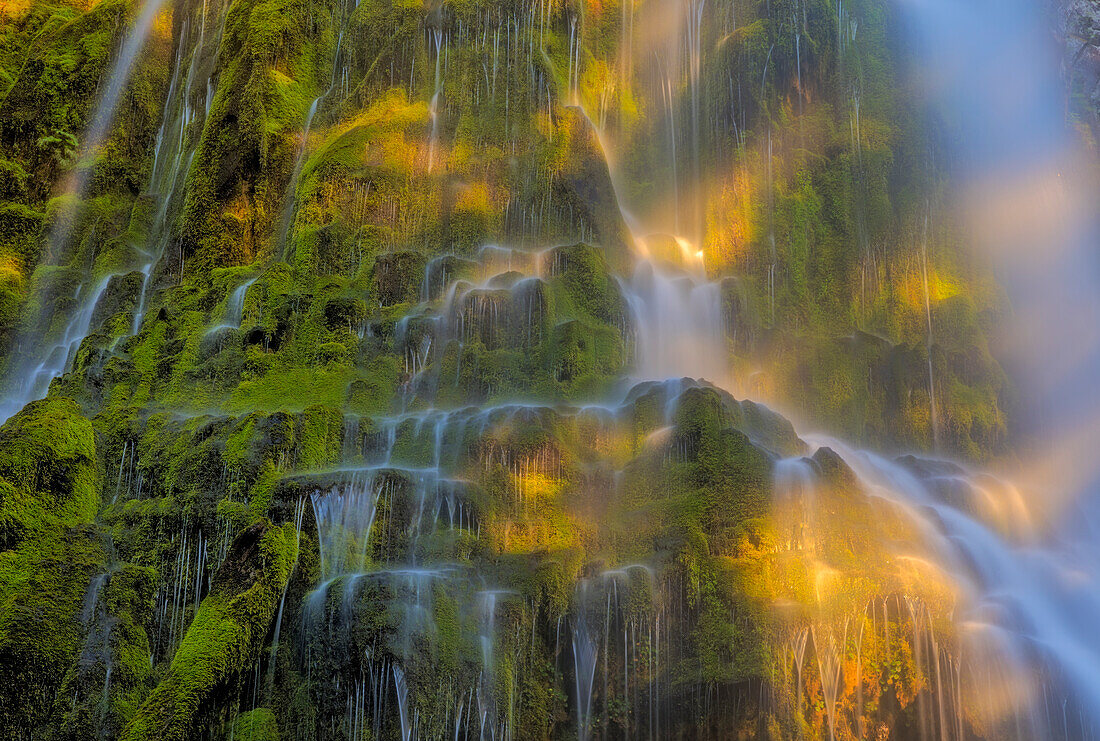 Proxy Falls in der Three Sisters Wilderness, Oregon, USA