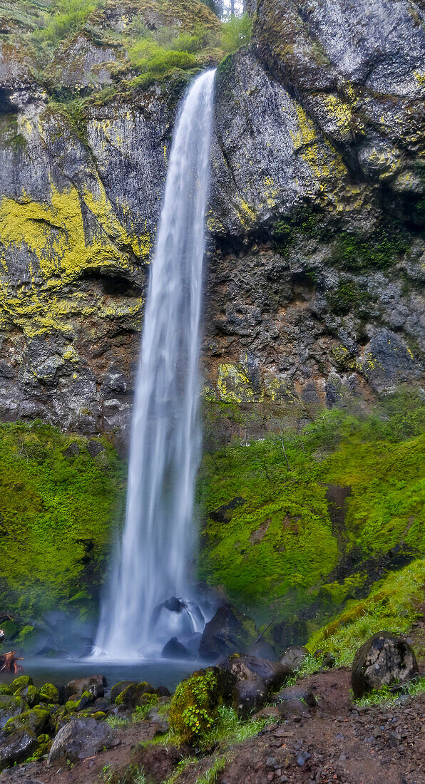 Elowah Falls in der Columbia River Gorge National Senic Area, Oregon