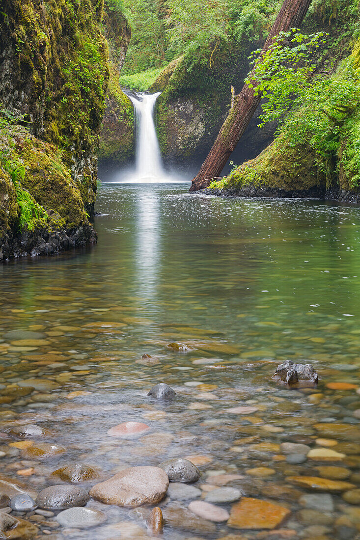 OR, Columbia River Gorge National Scenic Area, Punch Bowl Falls