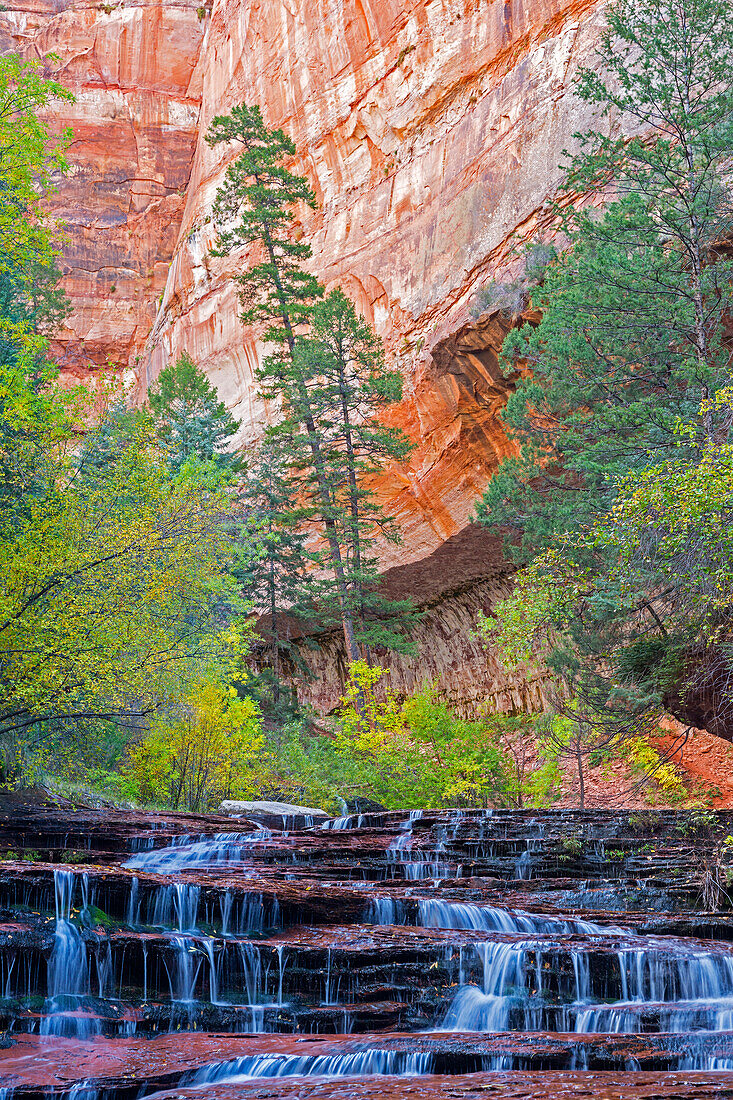 Utah, Zion National Park, water cascading through Left Fork of North Creek