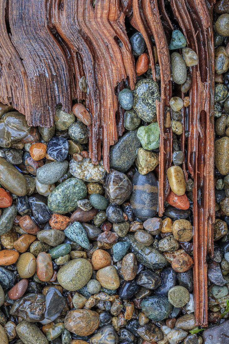 USA, Washington State, Seabeck. Panoramic of driftwood and beach rocks.