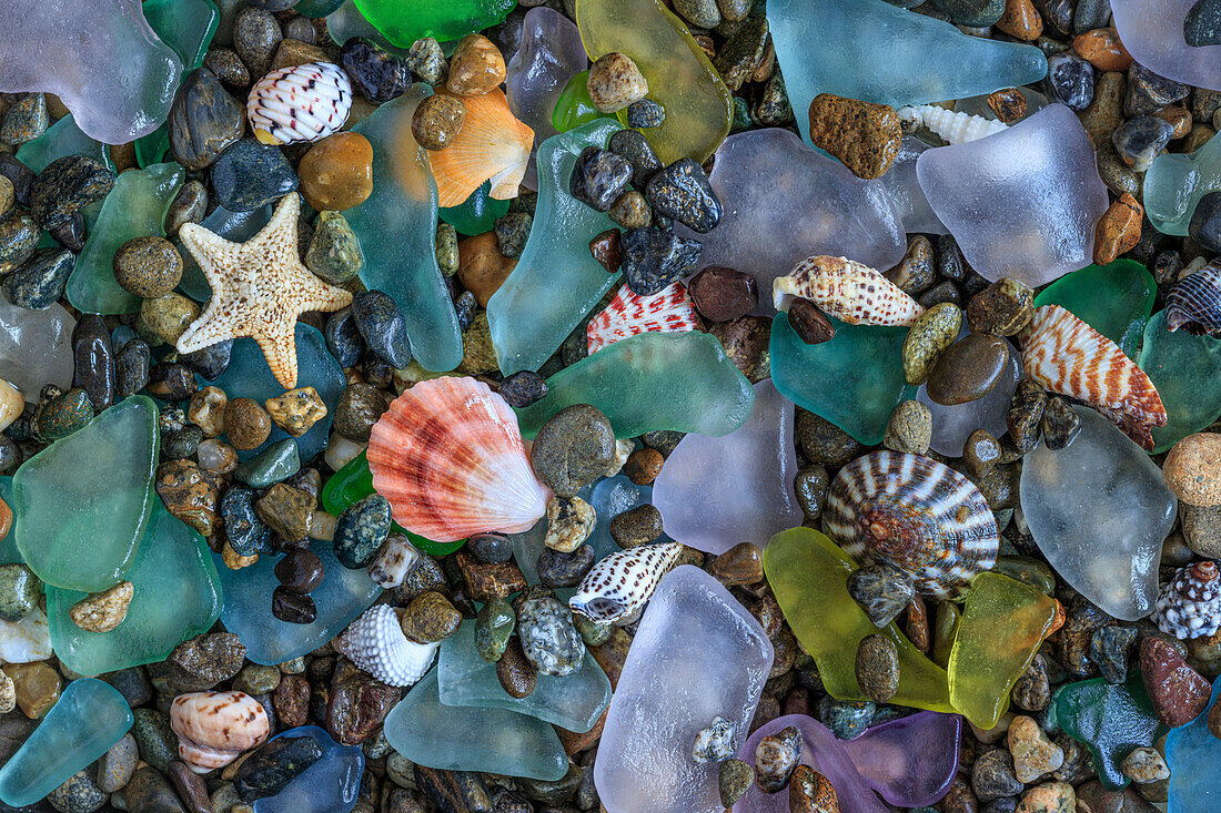 USA, Washington State, Seabeck. Sea shells and beach glass close-up.