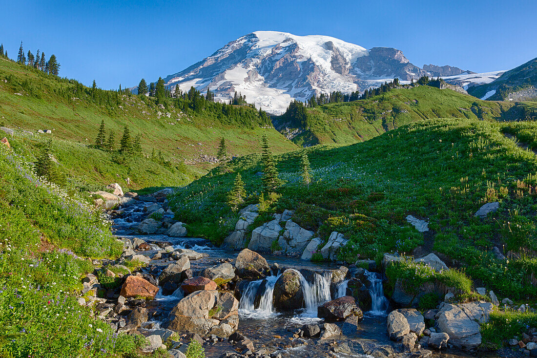 WA, Mount Rainier National Park, Edith Creek and Mount Rainier