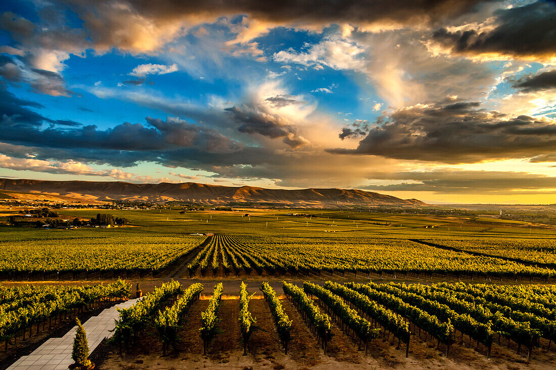 USA, Washington State, Red Mountain. Red Mountain vineyards at dusk with dramatic sky.