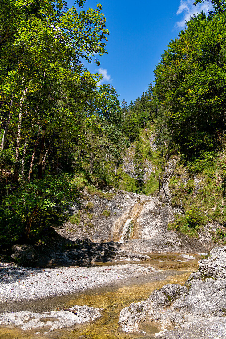 Small idyllic waterfall near Vorderriss, Isarwinkel, Upper Bavaria, Bavaria, Germany