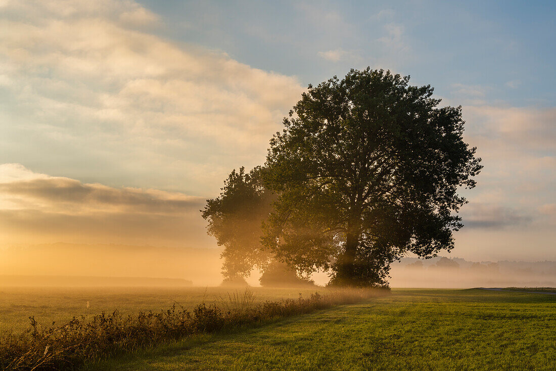 Malerischer Septembermorgen bei Unterhausen, Weilheim, Oberbayern, Bayern, Deutschland