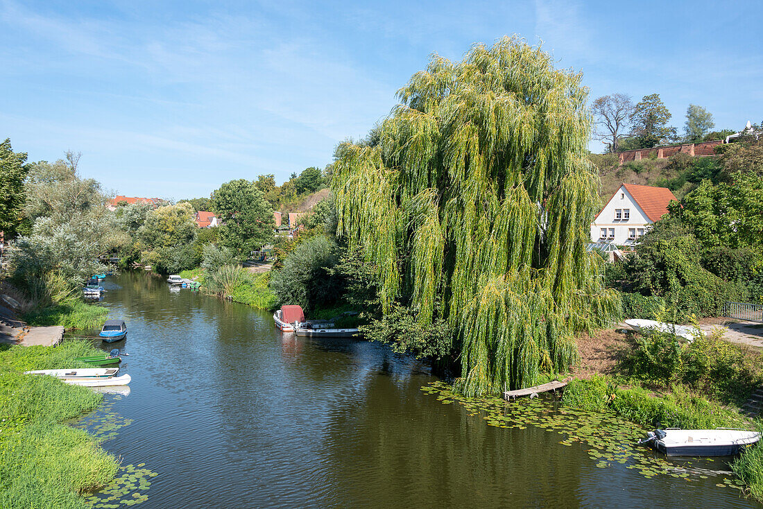 Willow, boats on the Havel, Havelberg, Saxony-Anhalt, Germany