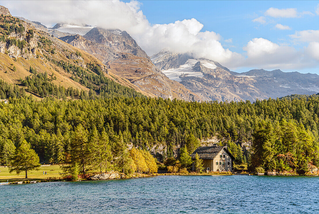 Herbstlandschaft am Silsersee im Oberengadin, Engadin, Graubünden, Schweiz