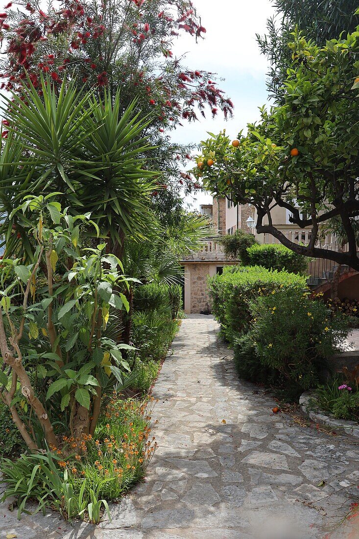 Backyard garden in Fornalutx, Mallorca, Spain