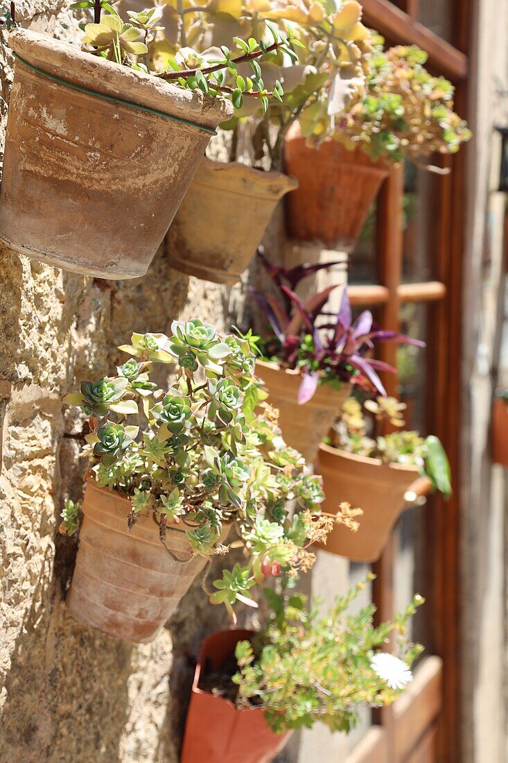 Typical wall pot garden in Valldemossa, Mallorca, Spain