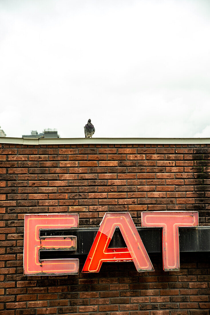 Taube auf einem Dach über einem 'EAT' Schild. Nashville, Tennessee, USA