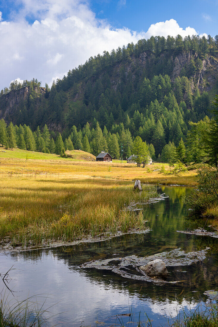 See der Hexen im Herbst, umgeben von Wiesen und Wäldern, Alpe Devero, Piemont, Italien.