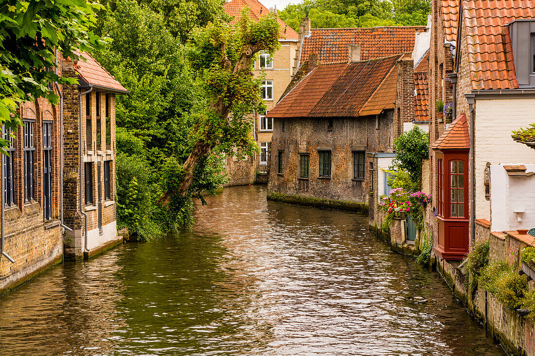 Canal scene, Bruges, West Flanders, Belgium.