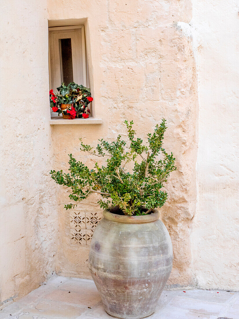 Potted plants outside the Sassi houses.
