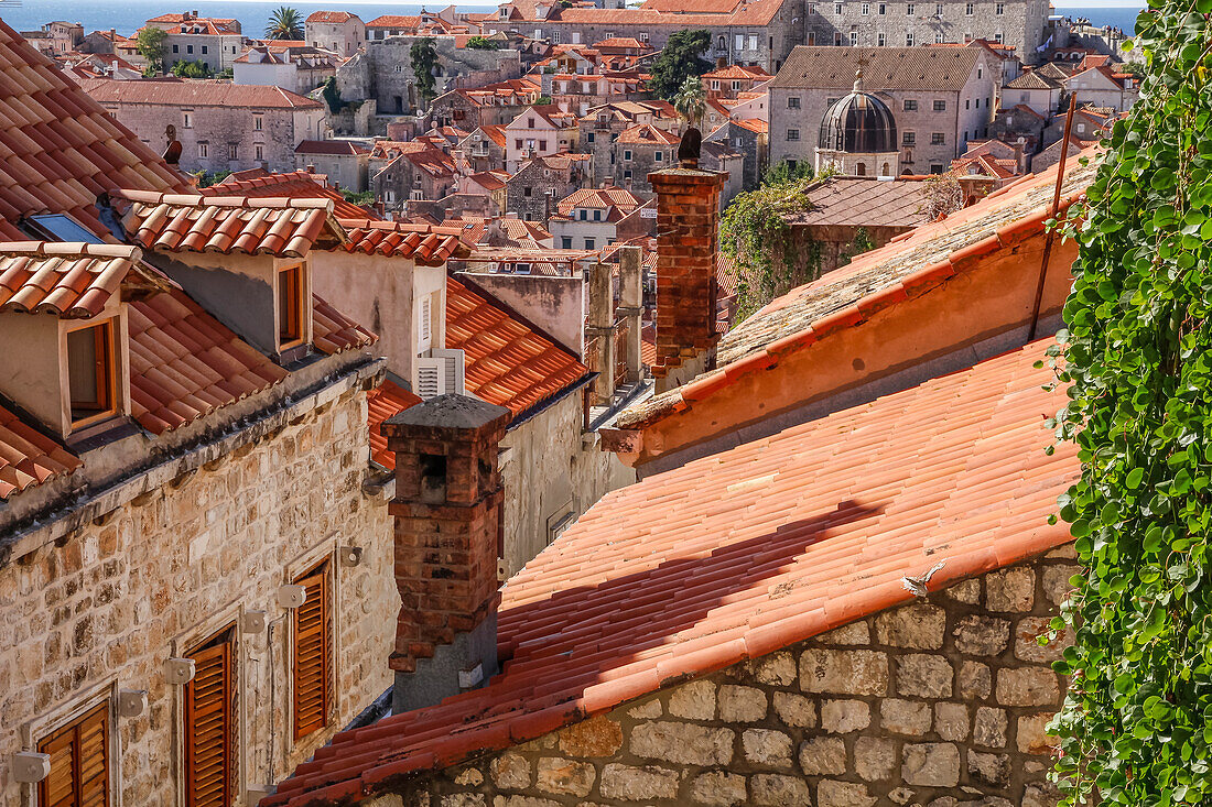 Croatia. Dalmatia. Dubrovnik. Red terra cotta roof tiles in the old town of Dubrovnik.