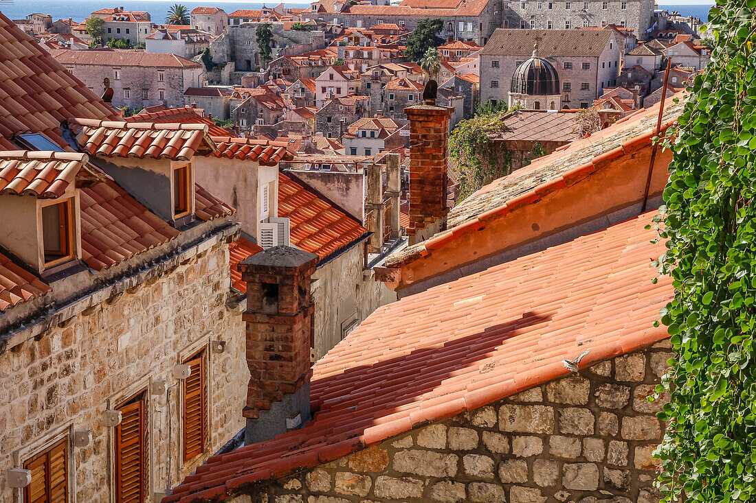 Kroatien. Dalmatien. Dubrovnik. Rote Terrakotta-Dachziegel in der Altstadt von Dubrovnik.
