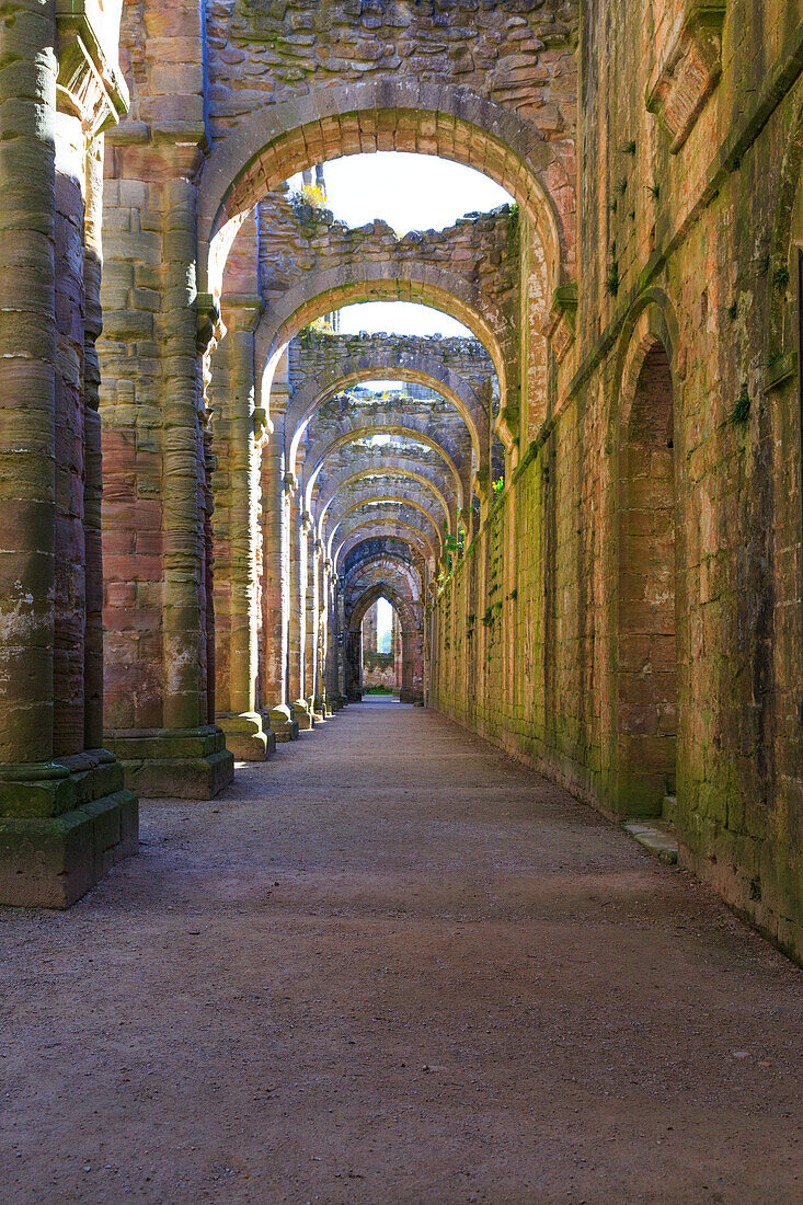 England, Nord-Yorkshire, Ripon. Brunnen-Abtei, Studley Royal. UNESCO-Weltkulturerbe. National Trust, Zisterzienserkloster. Ruinen von Torbögen in der Nähe des Kirchenschiffs.
