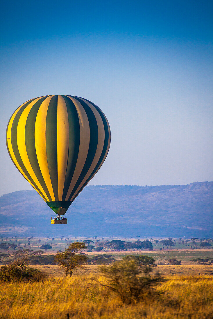 A hot-air balloon slowly traverses over the Serengeti plain.