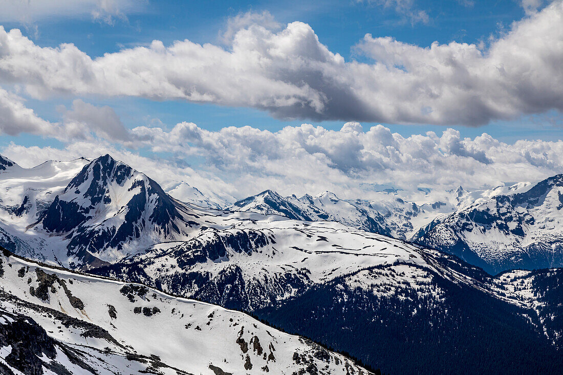 Canada, British Columbia, Whistler. Fitzsimmons Range in Garibaldi Provincial Park