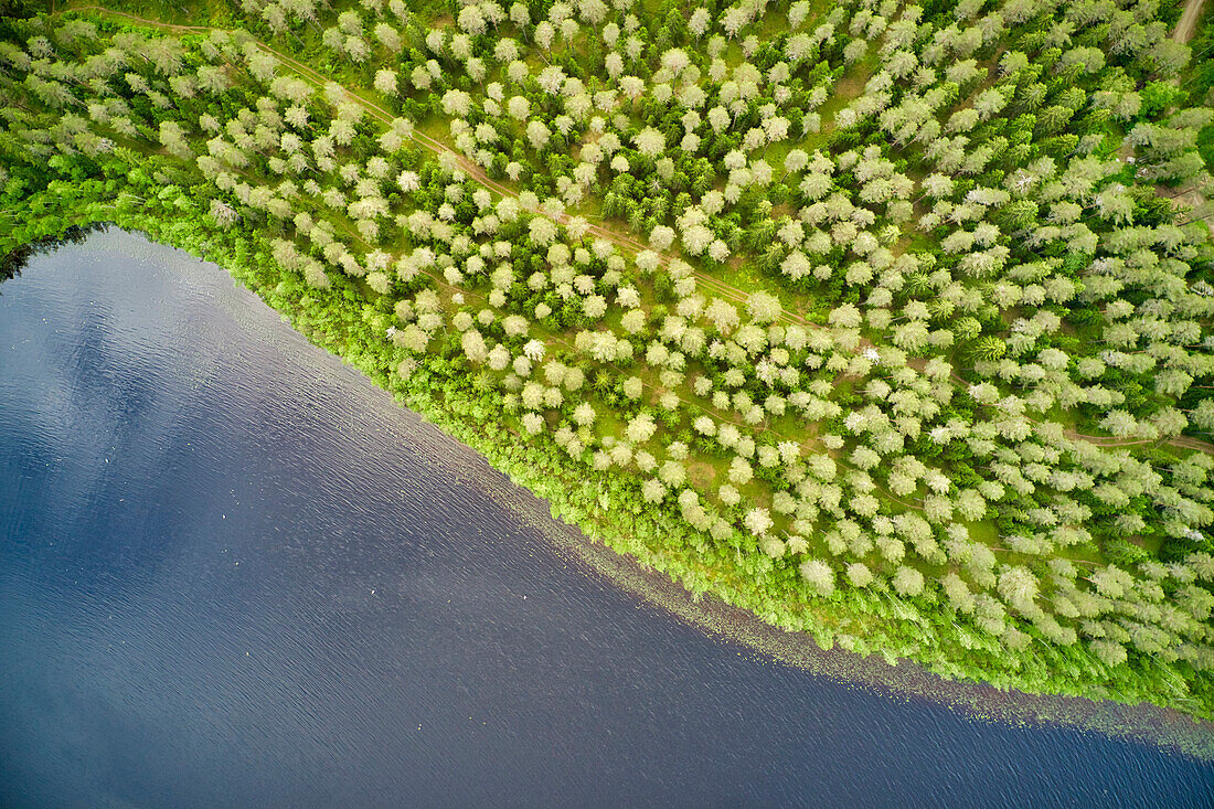 Finlandia, Savonlinna, aerial view, forest and lake